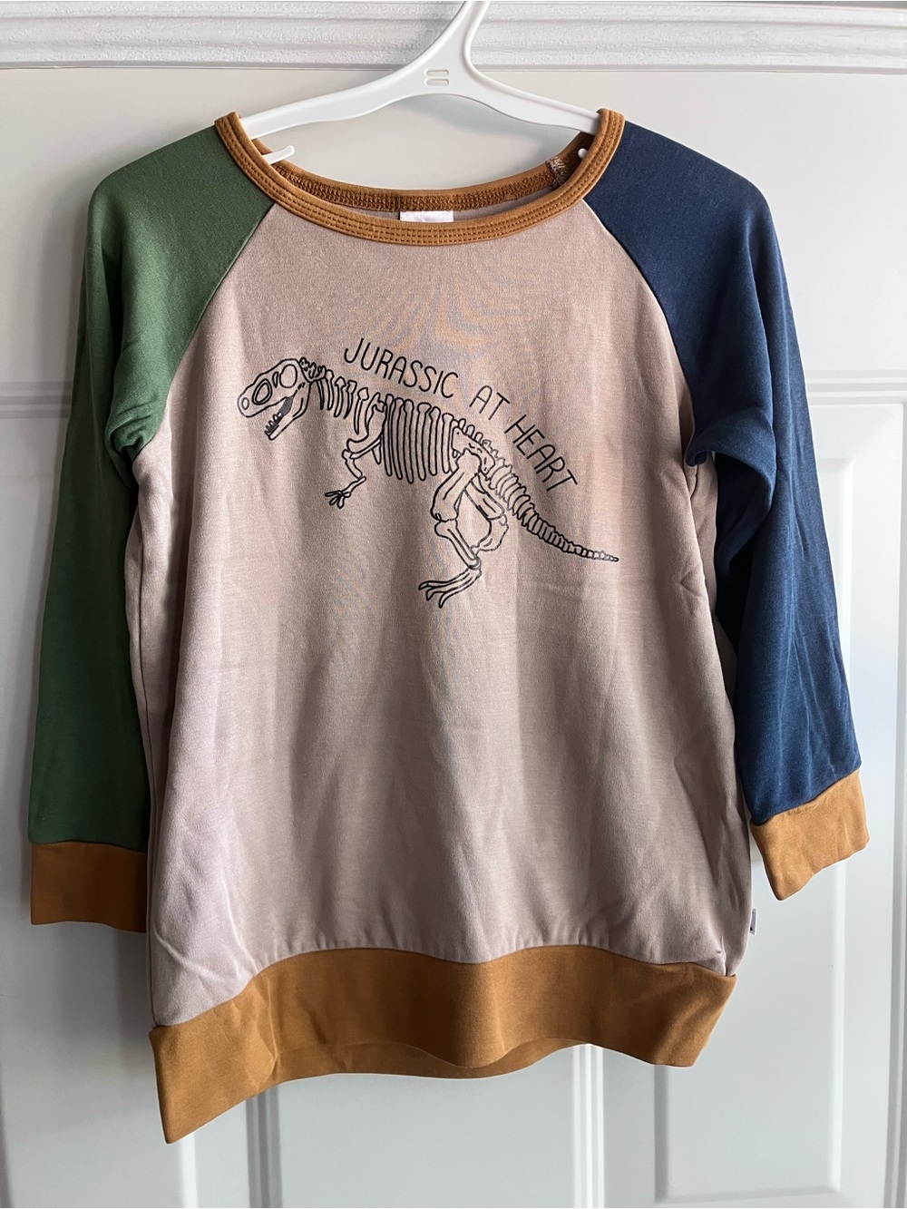 Little & lively Jurassic dinosaur colour block shirt 5T